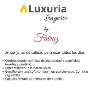 Conjunto Corpiño Taza Soft y Push Up (art 5101) Talle 85 al 100: imagen 3